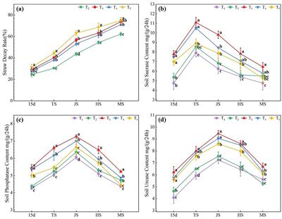 Enhancing rice ecological production: synergistic effects of wheat-straw decomposition and microbial agents on soil health and yield